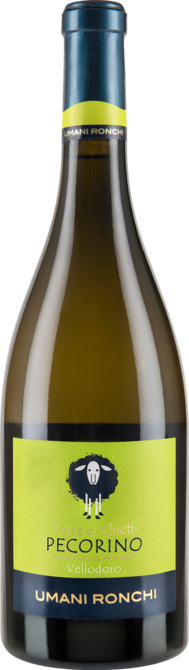 Vellodoro Pecorino 2022, Abruzzen, Trocken