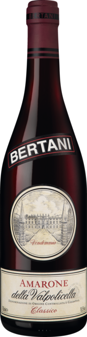 Bertani Amarone Classico 2013, Venetien, Trocken