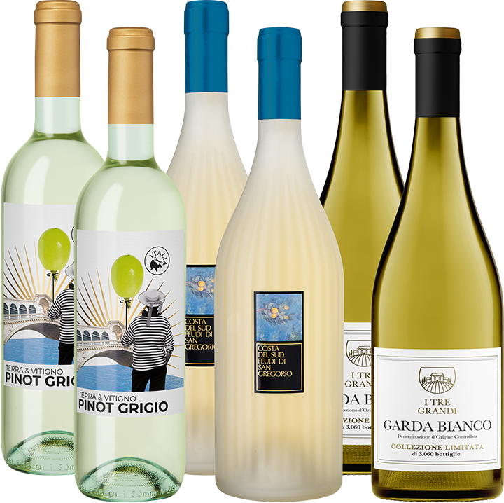 Enzos Favorito Bianco Weinpaket 6109216 Sonstiges Enzo