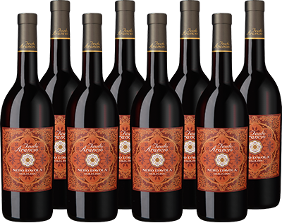 Sparpaket Feudo Arancio Nero d'Avola, Sizilien, Trocken